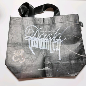 플레이브 리유저블백 2025 대쉬 아시아투어