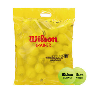 윌슨 테니스공 60개