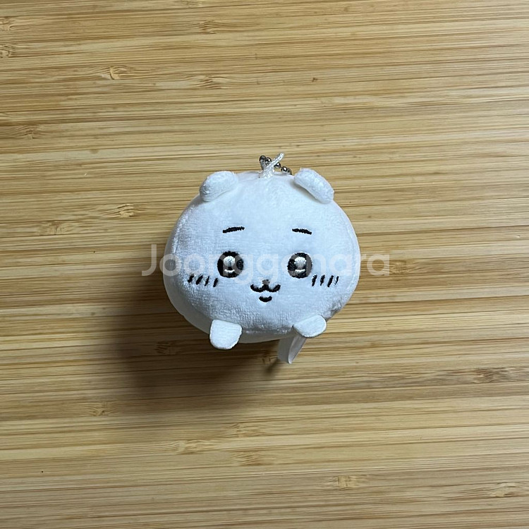 치이카와 모찌코로링--0