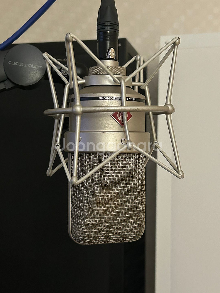 tlm49 노이만 컨덴서마이크 판매합니다.--0