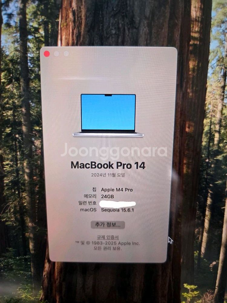 맥북 프로 14 M4pro 24GB 512 에케플--1