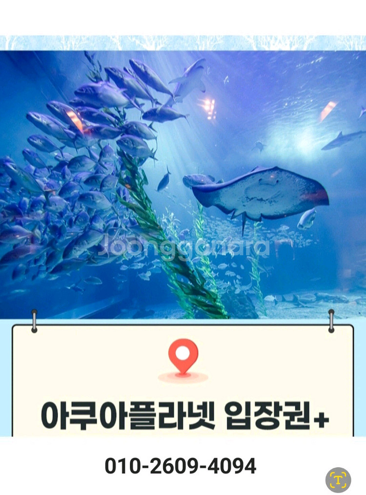 제주/ 여수/ 광교/ 일산 아쿠아플라넷[빠른답장즉시전송--0