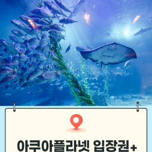 제주/ 여수/ 광교/ 일산 아쿠아플라넷[빠른답장즉시전송
