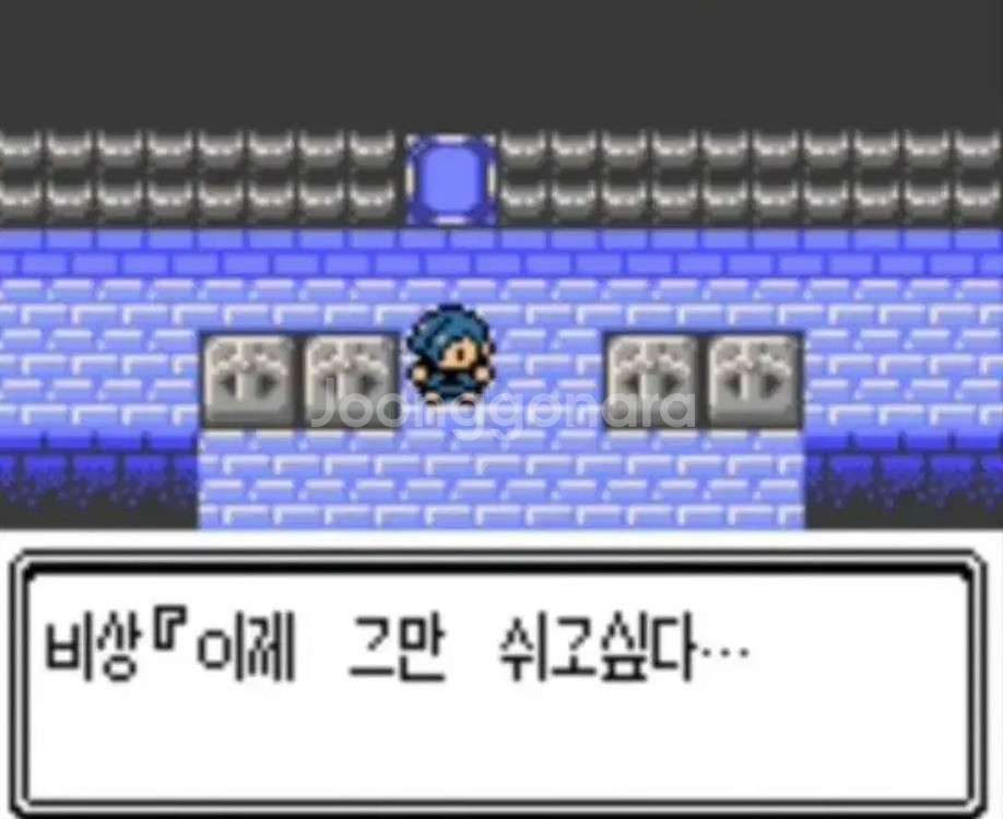 (포켓몬괴담,외전) 게임보이팩 고스트블랙,버리맨,승계,--4