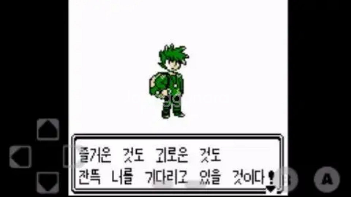 (포켓몬괴담,외전) 게임보이팩 고스트블랙,버리맨,승계,--3