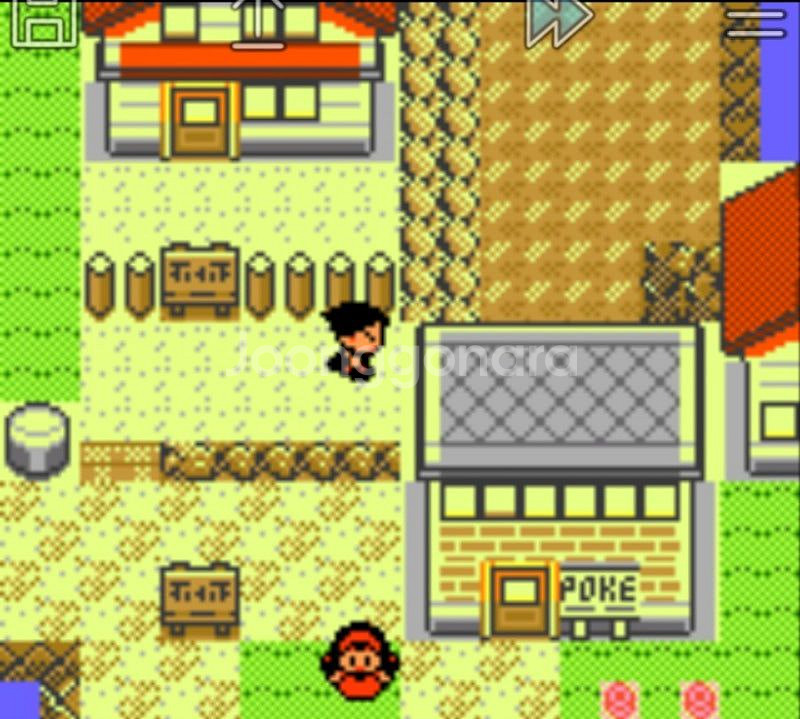 (포켓몬괴담,외전) 게임보이팩 고스트블랙,버리맨,승계,--5