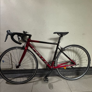 2023 첼로 스칼라티 a1 로드 자전거