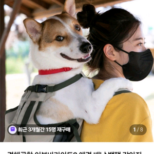 견체공학 어부바라이트 2