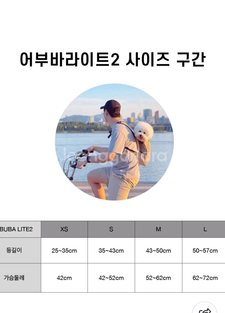 견체공학 어부바라이트 2--4