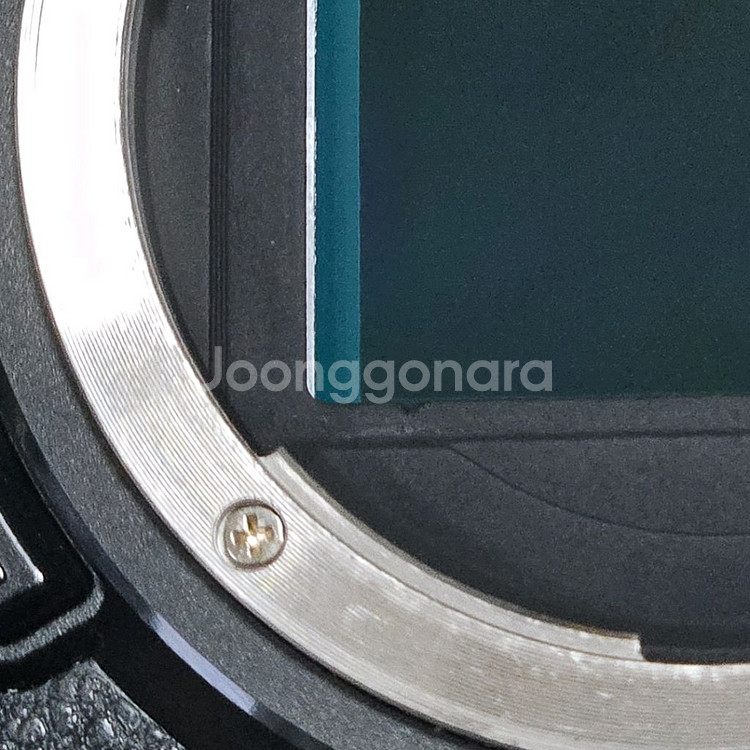 z6 + 기타 구성품--1
