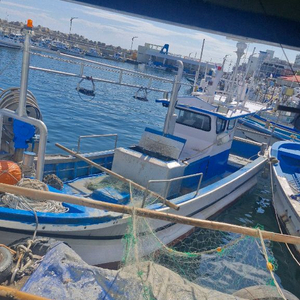 어선(선박)판매 이미지