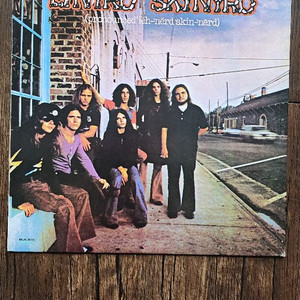 Lynyrd Skynyrd 84년 오아시스
