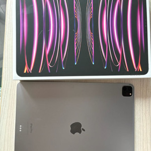 아이패드 프로6세대