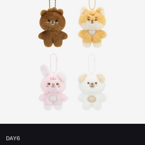 쁘쁘멀 방케필돈 일괄판매 데이식스