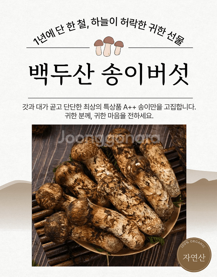 (추석선물)특1등급 백두산 자연산 송이버섯--0