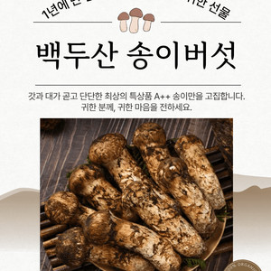 (추석선물)특1등급 백두산 자연산 송이버섯