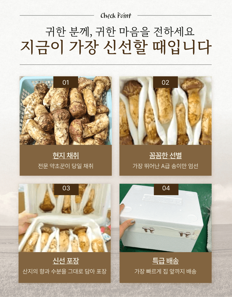 (추석선물)특1등급 백두산 자연산 송이버섯 이미지