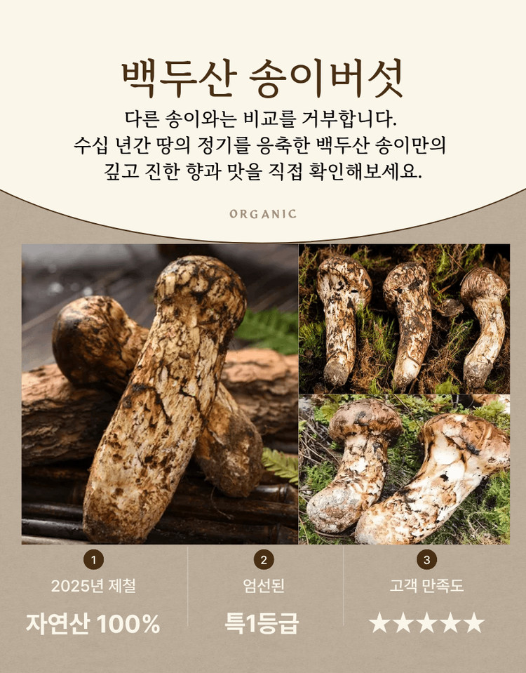(추석선물)특1등급 백두산 자연산 송이버섯 이미지