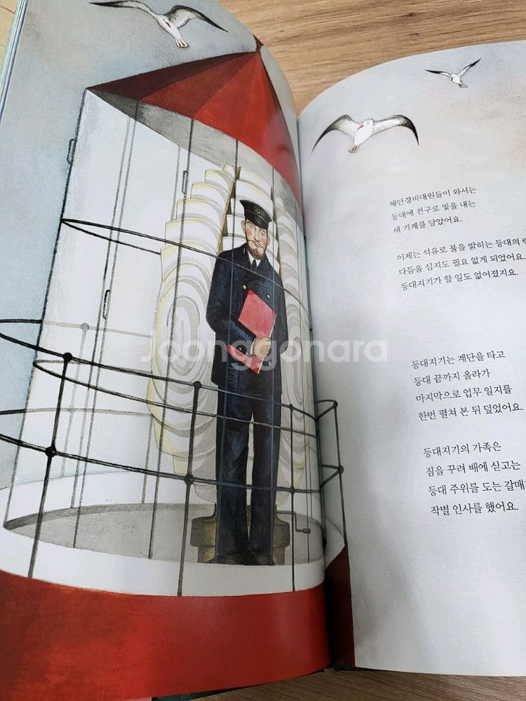 비룡소 북클럽 비버 567세--2