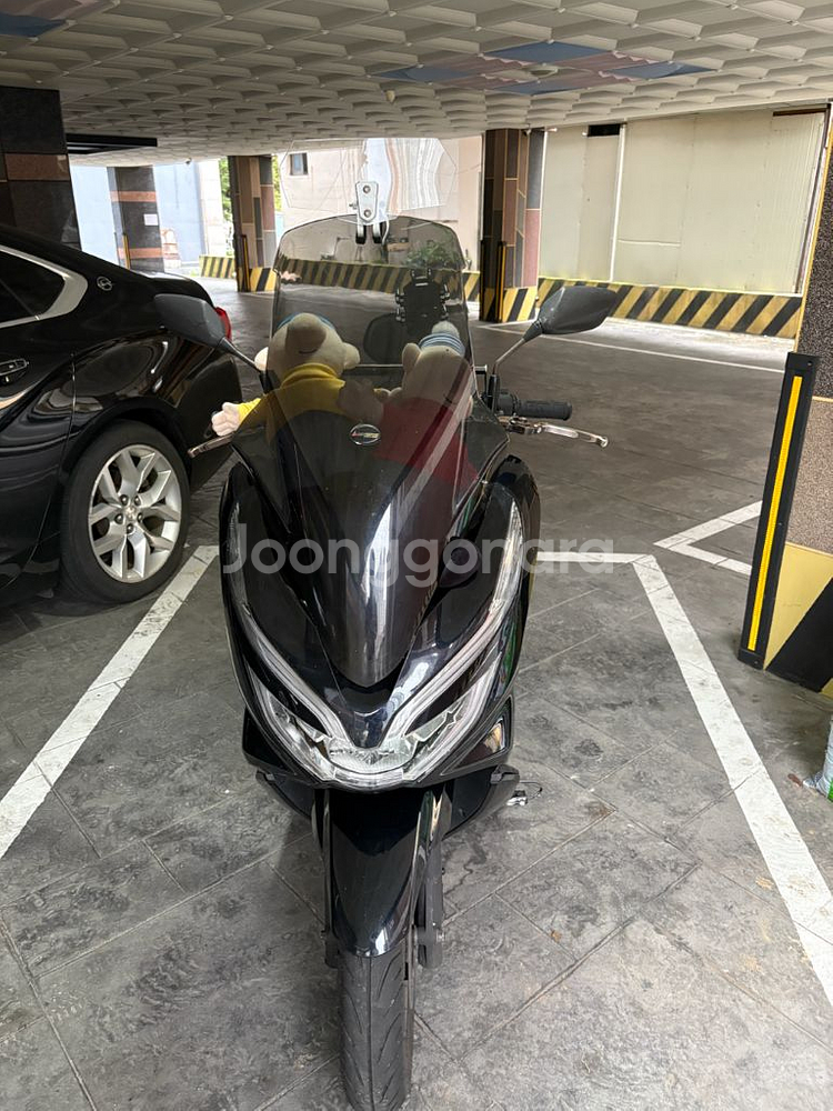pcx125 20년식--0