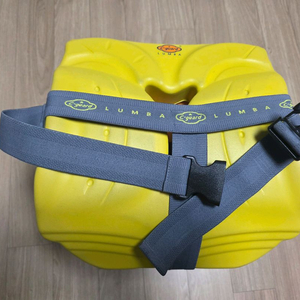 씨가드 룸바 허리쿠션