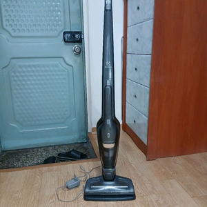 일렉트로룩스 무선청소기