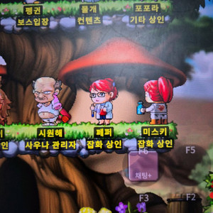 메소삽니다 억당 2.1