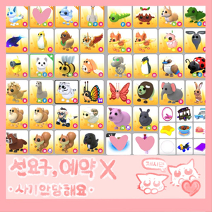 입양하세요 펫 팔아요
