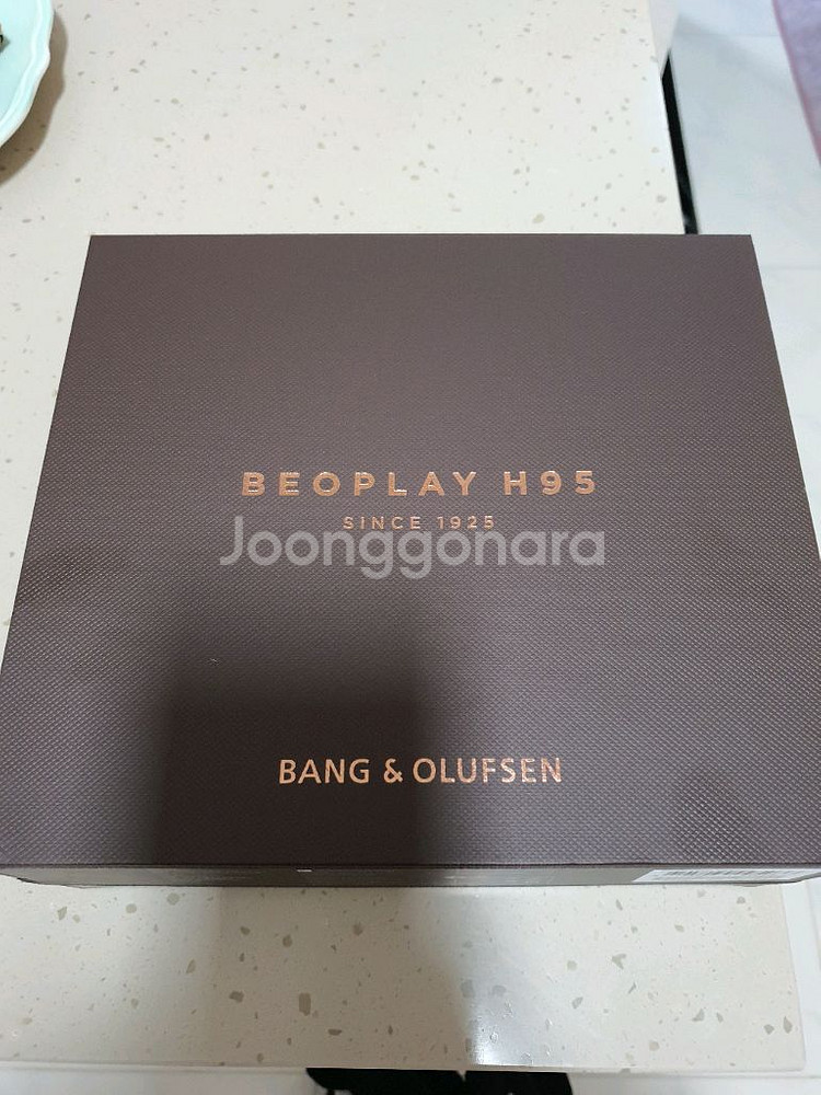 뱅앤올룹슨 베오플레이 H95 95주년 헤드셋--0