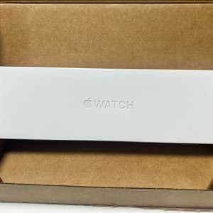 애플워치11 GPS+Celluar 46mm 내추럴티타늄
