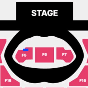 스트레이키즈 콘서트 F5구역 2열 양도