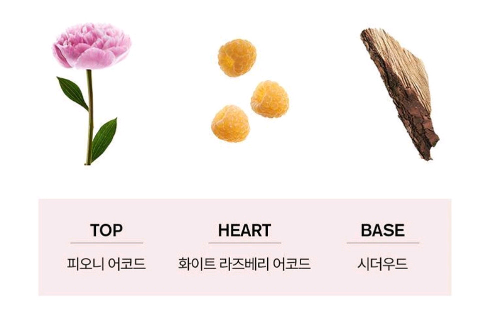 이세이미야케 로디세이 피오니 오드뚜왈렛 100ml--3