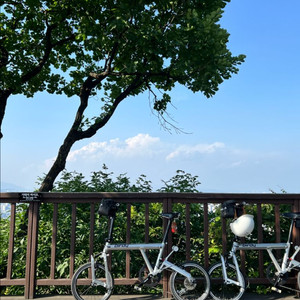 가격내림 -버디 뉴 클래식 실버 팝니다 - 2대 있어요