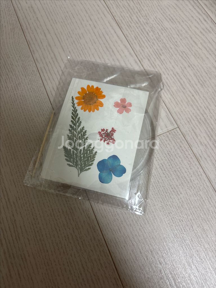 디자인드림 반투명 유리 머그/압화 드라이플라워 티코스터--1