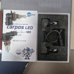 자동차 led 전구