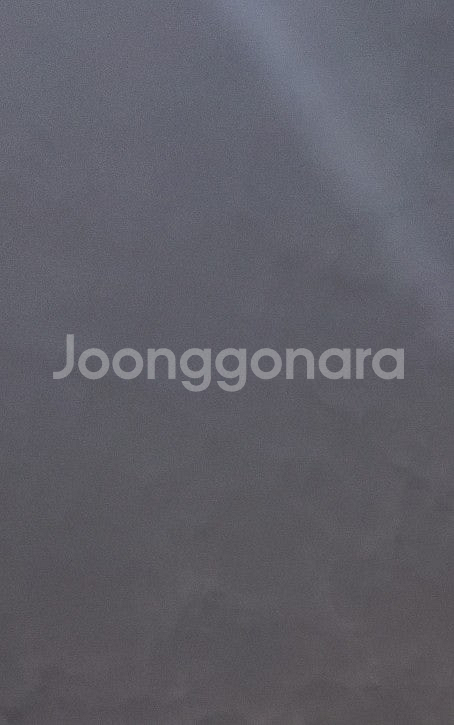 lg 엘지 데이터 2기가--0