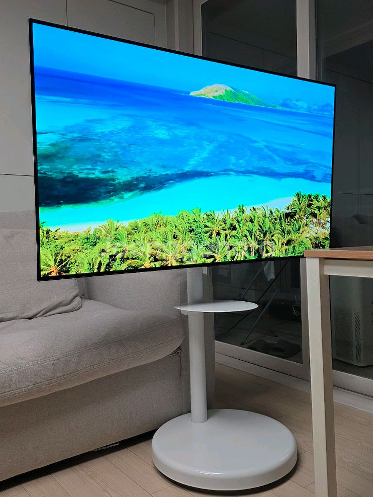 LG 55인치 OLED TV + 삼탠바이미 거치대--0