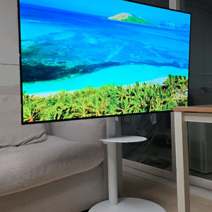 LG 55인치 OLED TV + 삼탠바이미 거치대