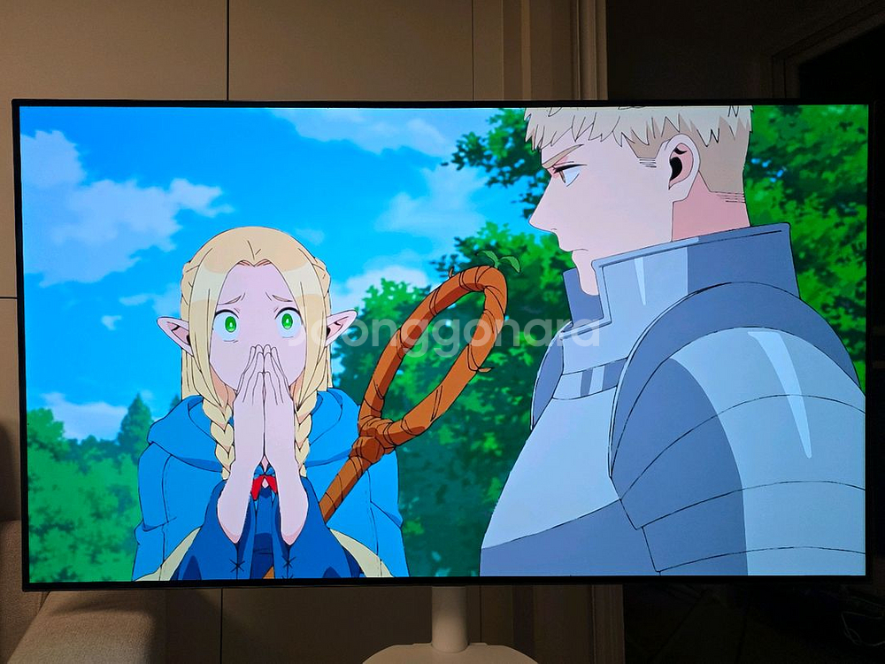 LG 55인치 OLED TV + 삼탠바이미 거치대--4