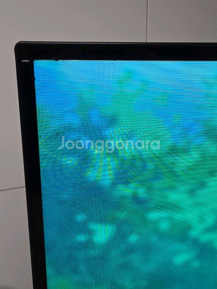 LG 55인치 OLED TV + 삼탠바이미 거치대--5