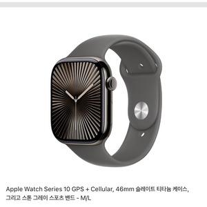 애플워치 10 46mm gps+celluar 티타늄