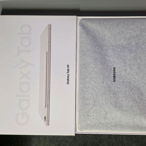 갤럭시탭 S9 와이파이 256GB 베이지 S급
