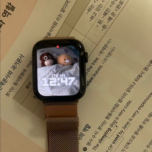 애플워치se1 나이키에디션 44mm