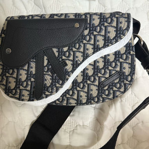 디올 오블리크 새들백