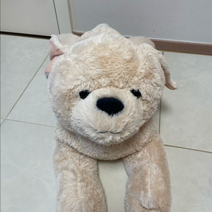 강아지인형