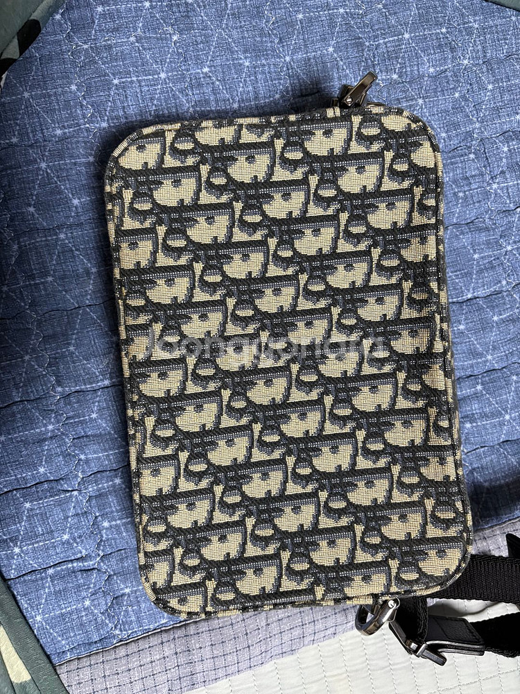 디올 사파리백--3