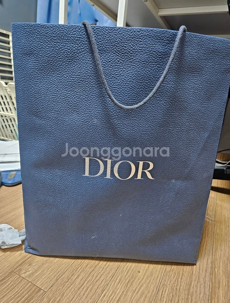 디올 사파리백--2