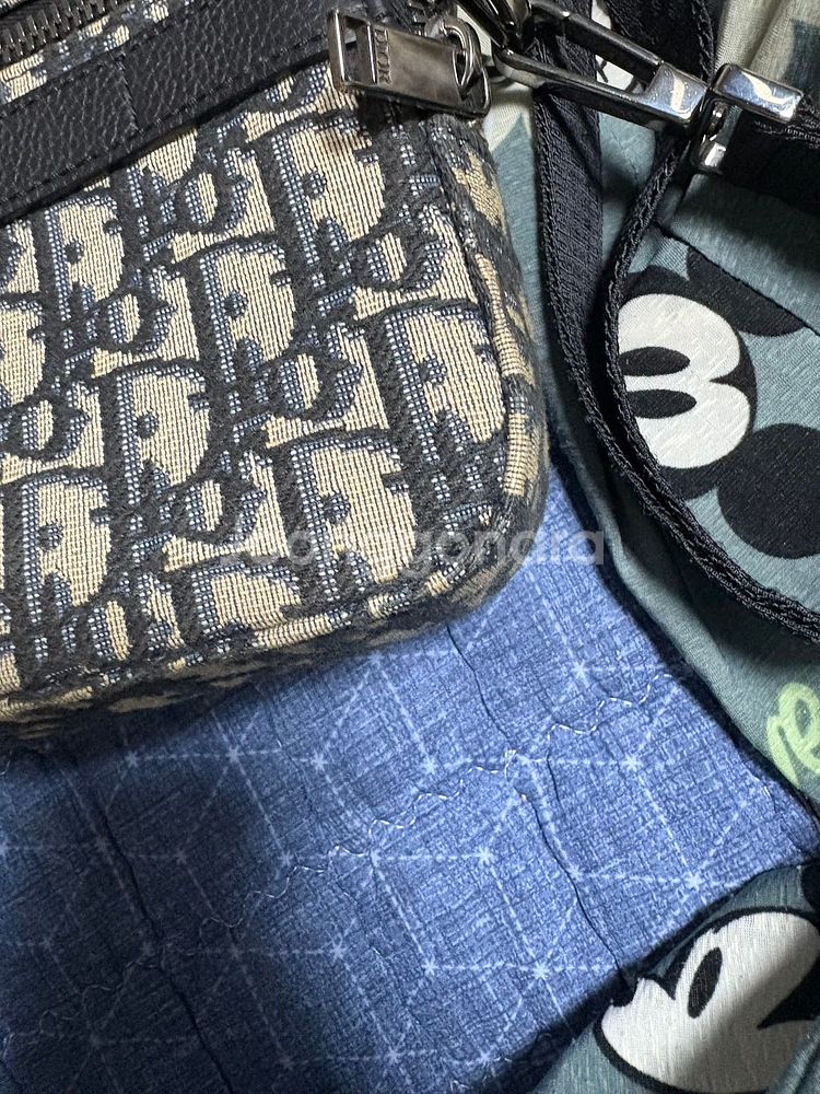 디올 사파리백--6