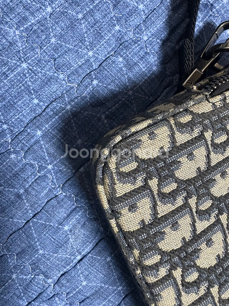 디올 사파리백--5