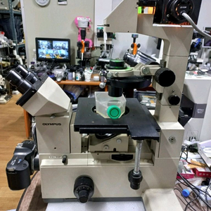 올림프스 IMT-2 위상차현미경 싸게판매합니다 이미지